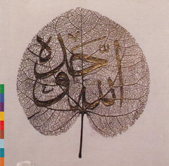 Sabri Brothers, The - Ya Habib (CD) Image